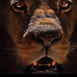 Meet your Posher, Bibilica